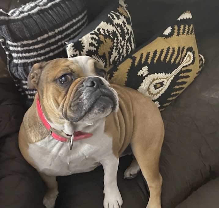 Photo of Ronka
