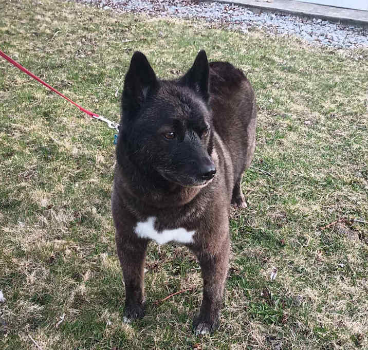 Photo of Tula