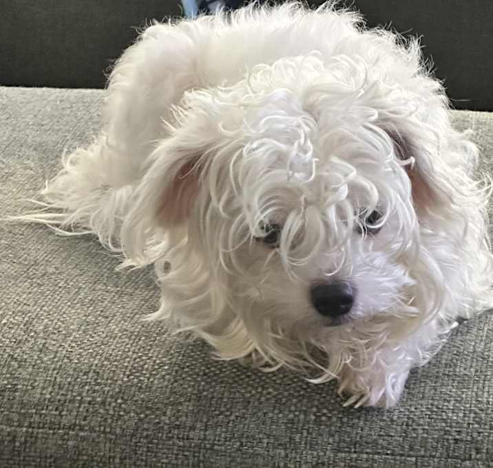 Photo of Lexi