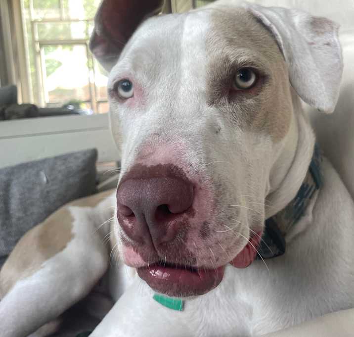 Photo of Honey boy