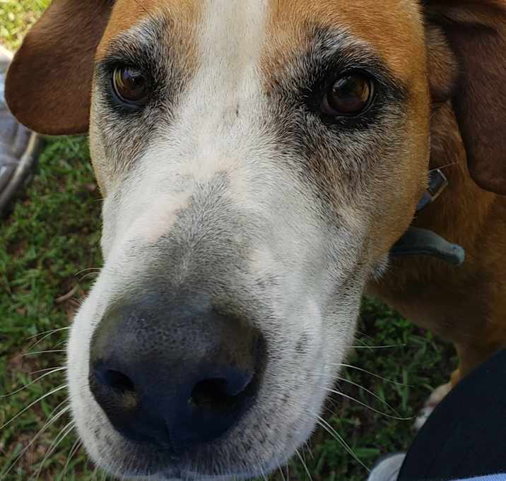 Photo of Sam