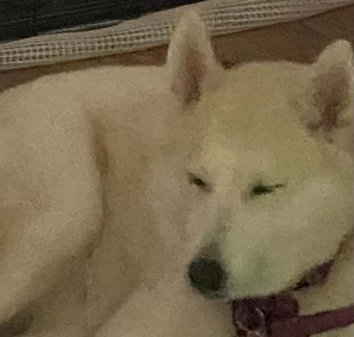 Photo of Happy