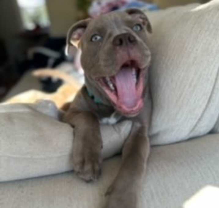 Photo of Tiny