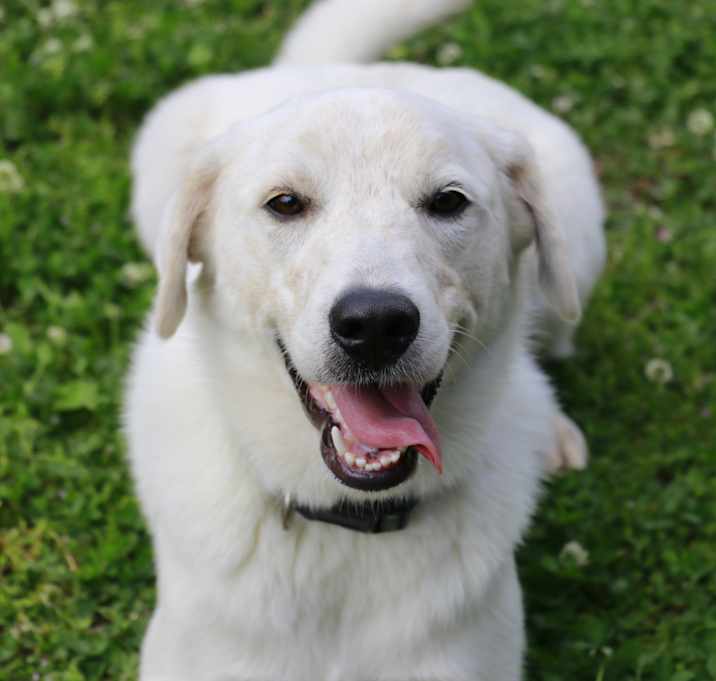 Photo of GHOST