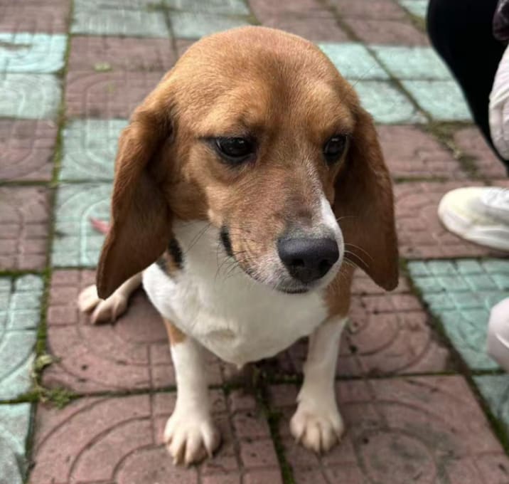 Photo of Ebby