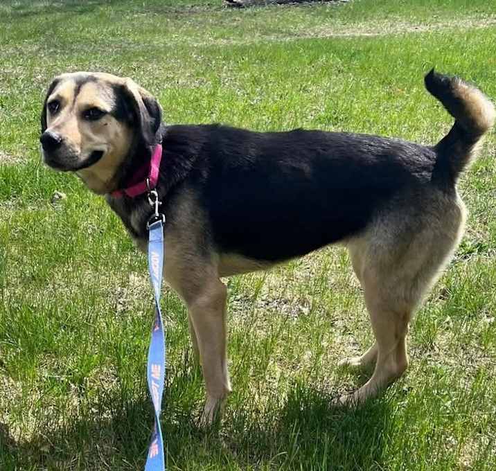 Photo of Jada
