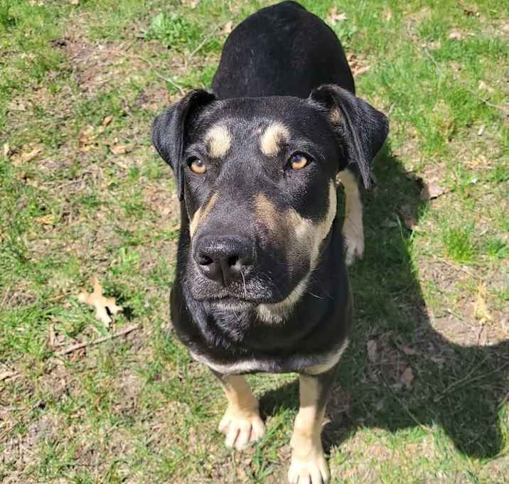 Photo of Fritz