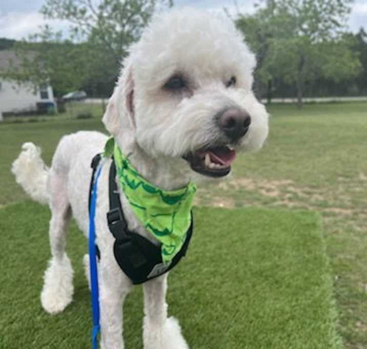 Photo of Brody