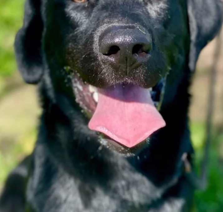 Photo of Rylo