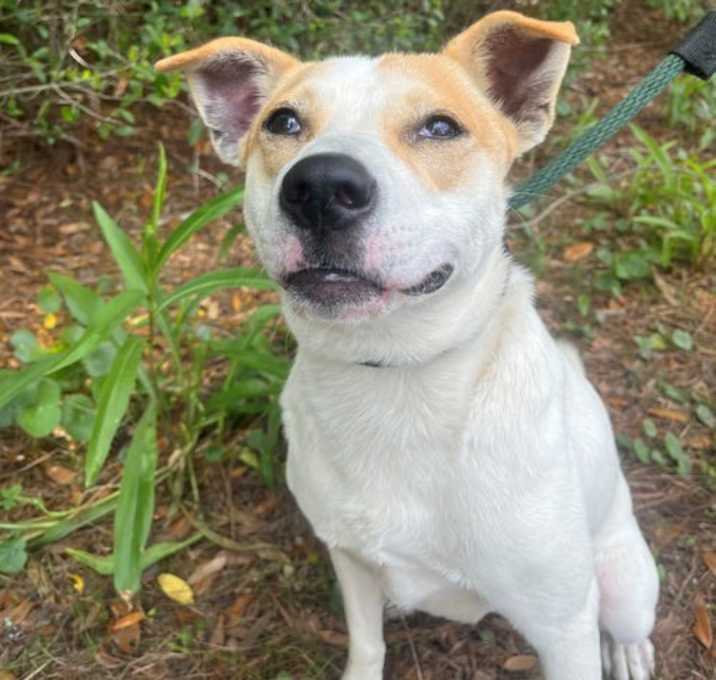 Photo of Rugrat