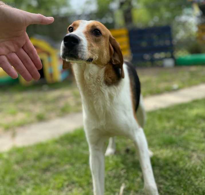Photo of Woody