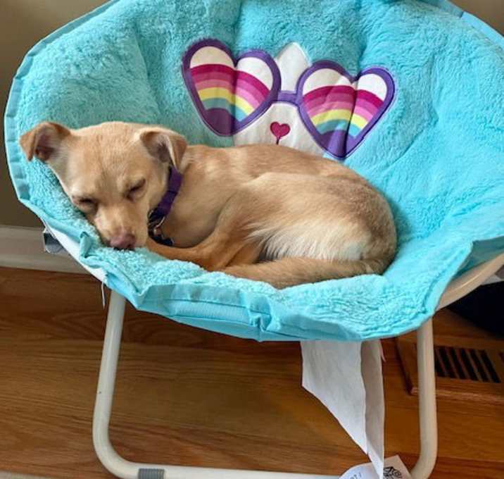 Photo of Bella