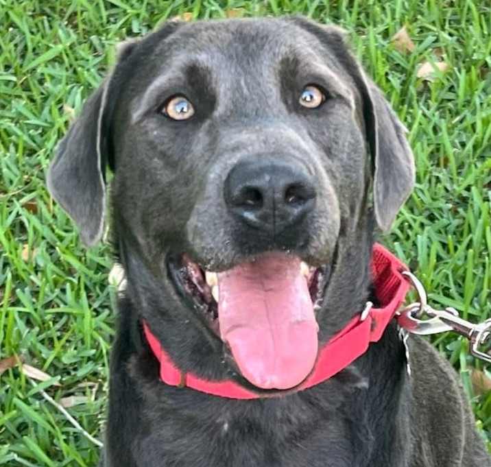 Photo of Levi