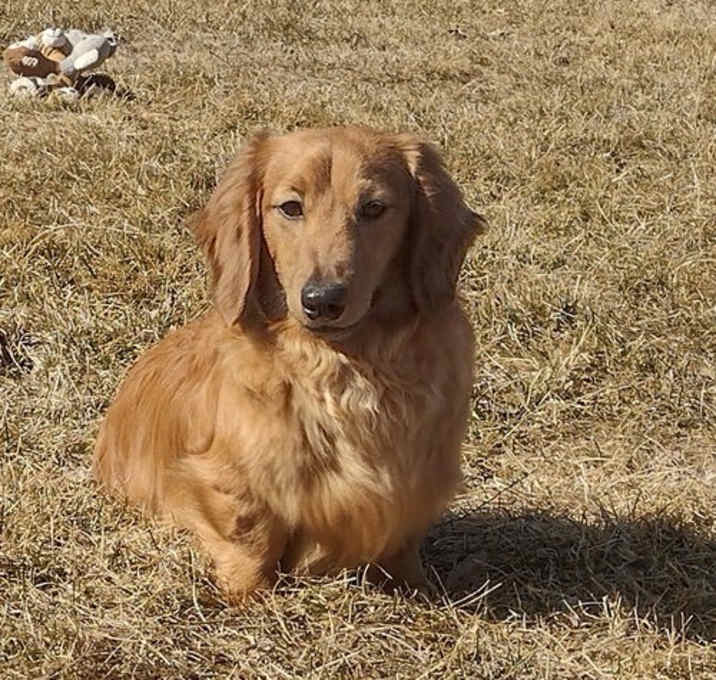 Photo of Armani