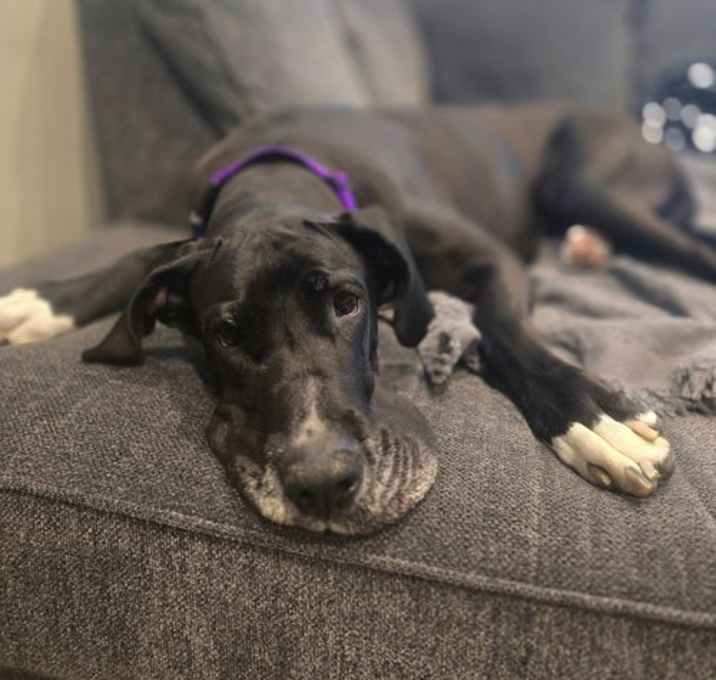 Photo of Paula (AKA Layla)