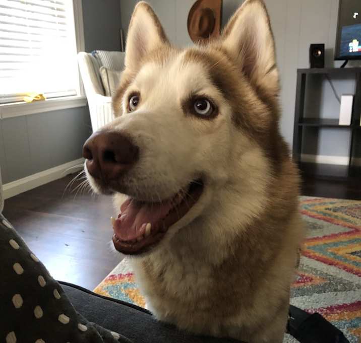 Photo of Kobe