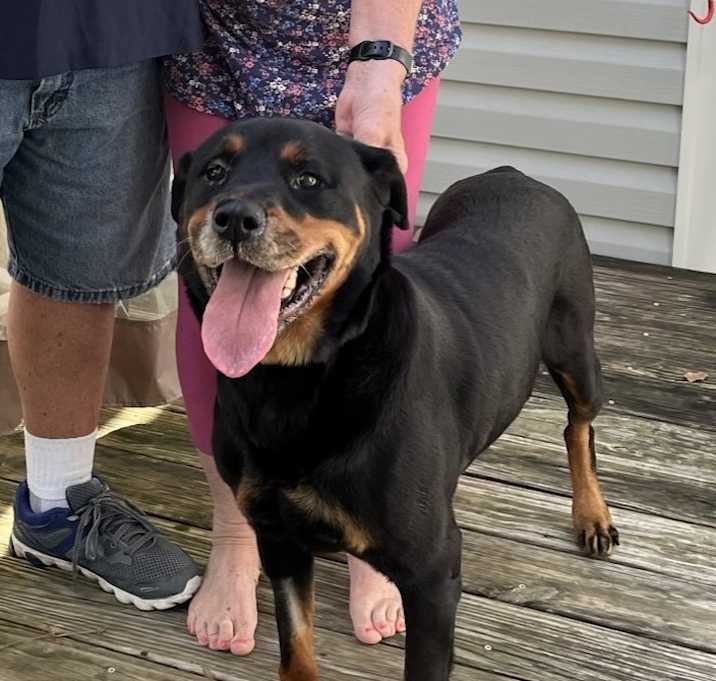 Photo of RUBY
