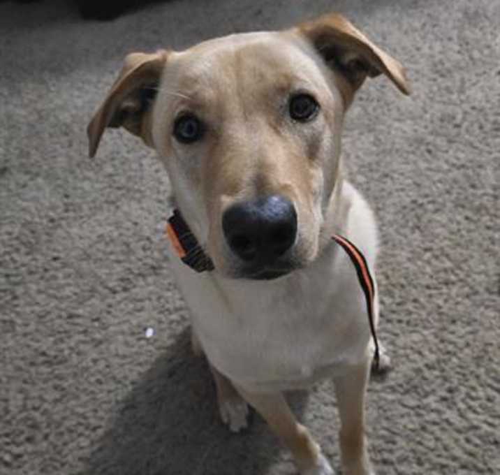 Photo of CHARLIE