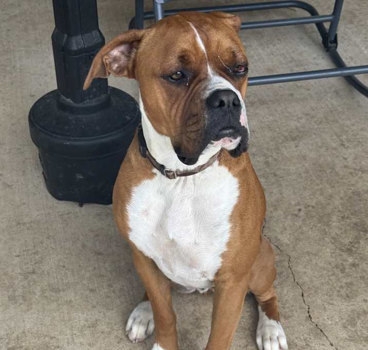 Photo of Rocky