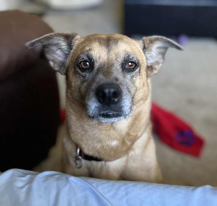 Photo of Nanjie
