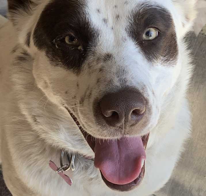 Photo of Athena