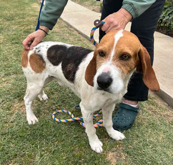 Photo of COOPER