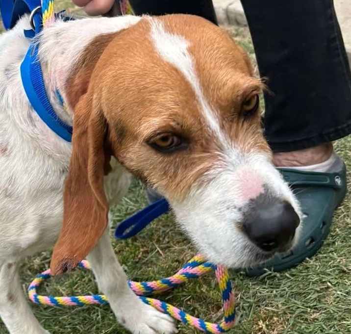Photo of COOPER