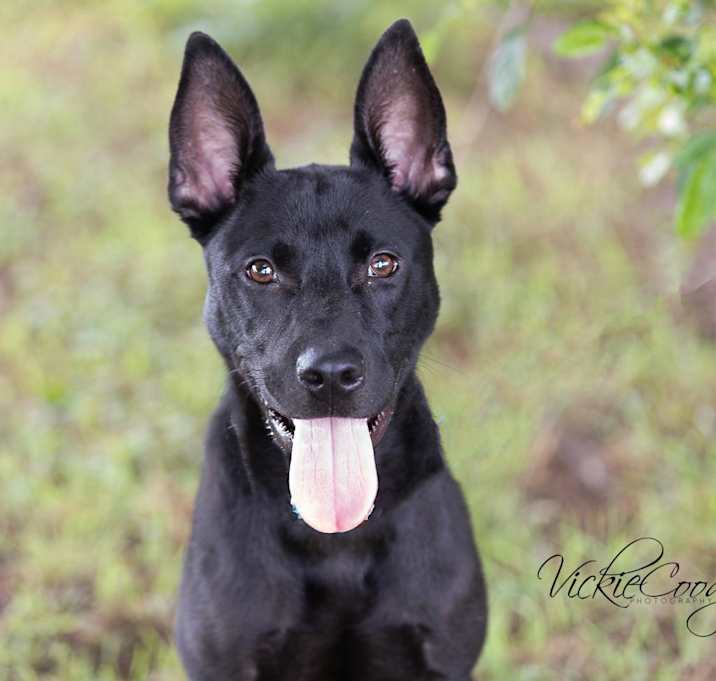 Photo of Saint aka Rocket