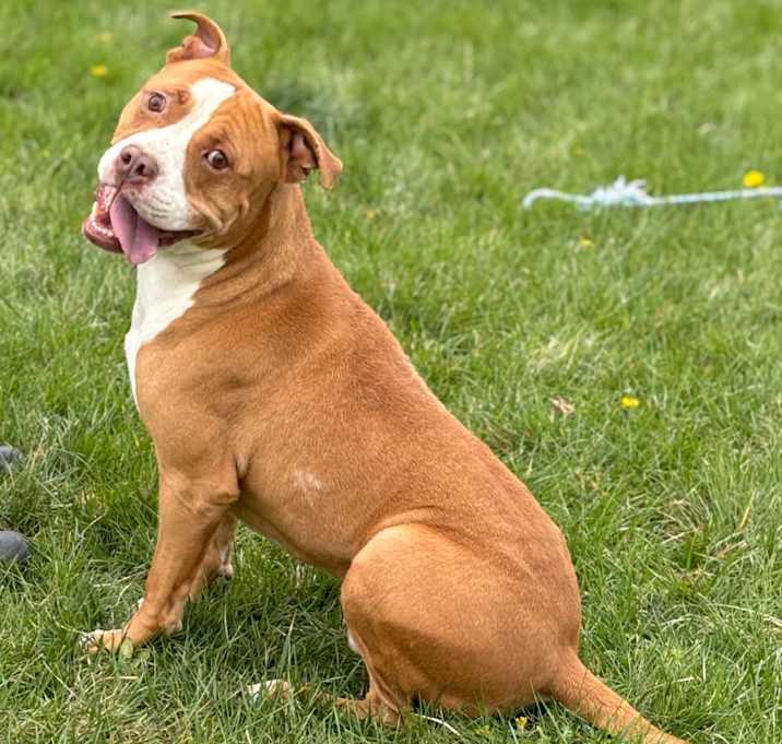 Photo of Spike