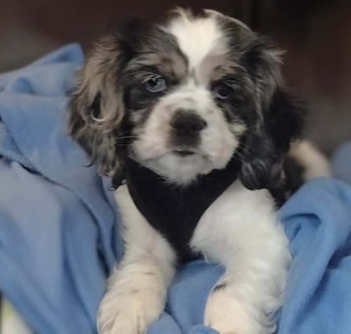 Photo of Tina