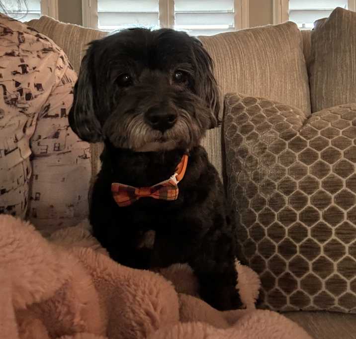 Photo of Major