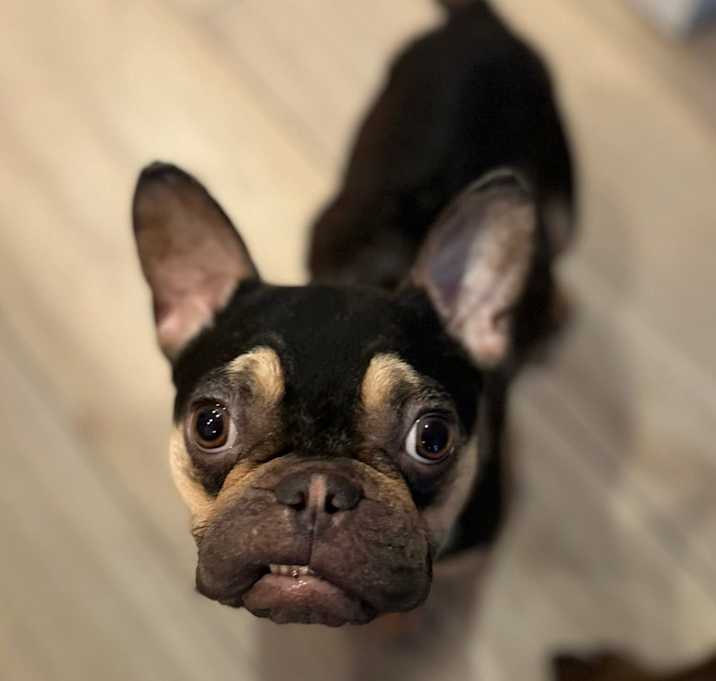 Photo of LILA