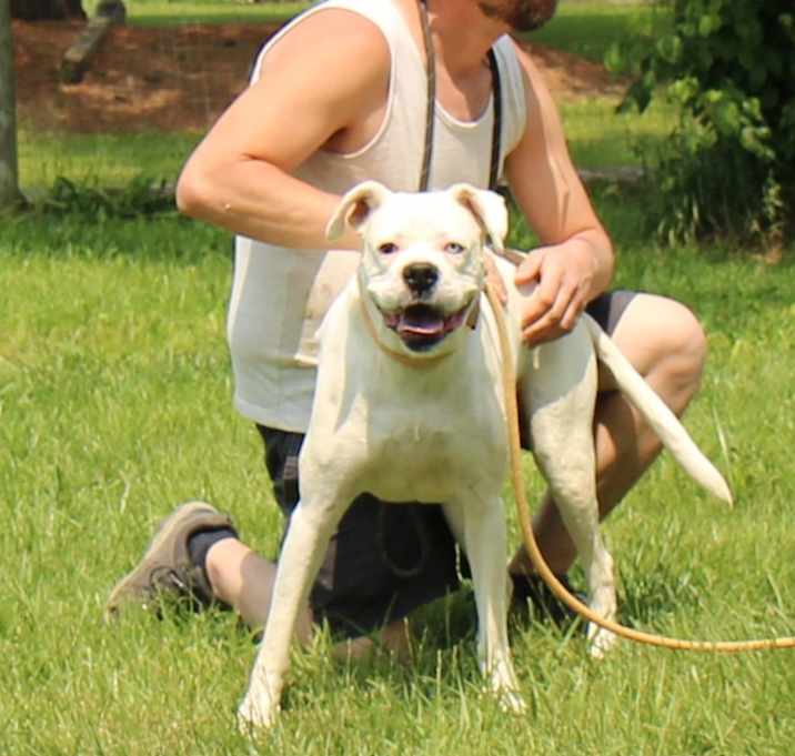 Photo of Mo