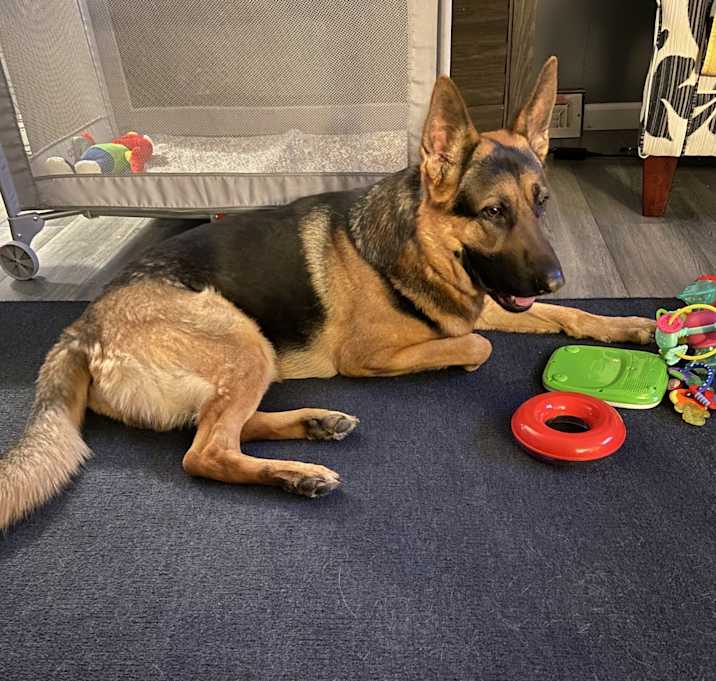Photo of Ace