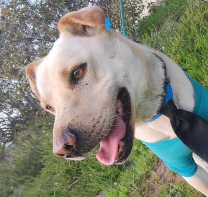Photo of HUERO