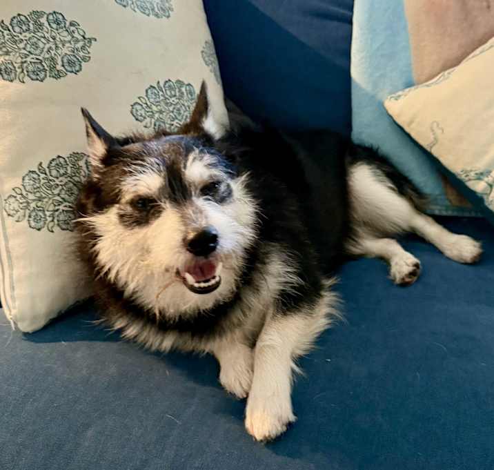 Photo of DILLINGER