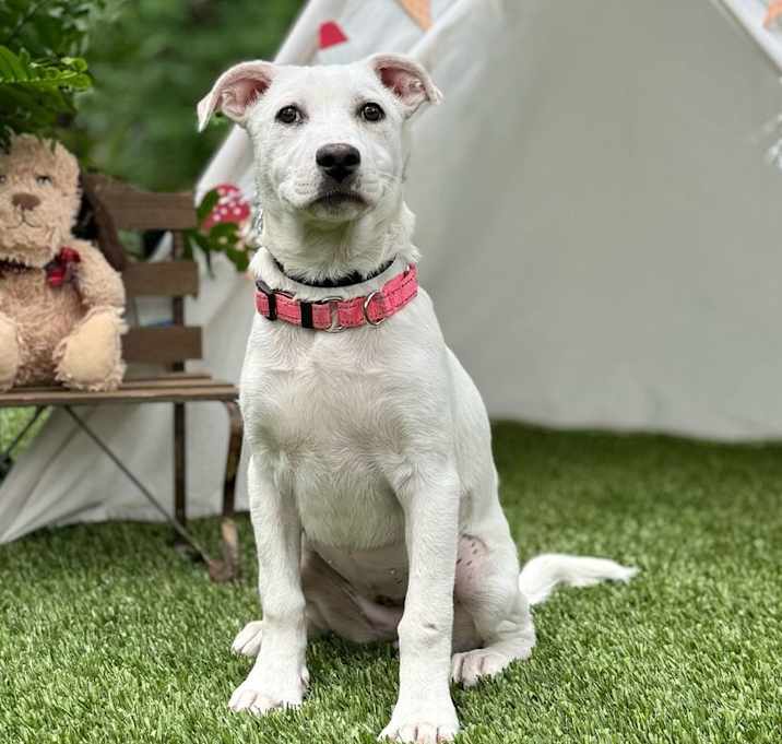 Photo of Matilda