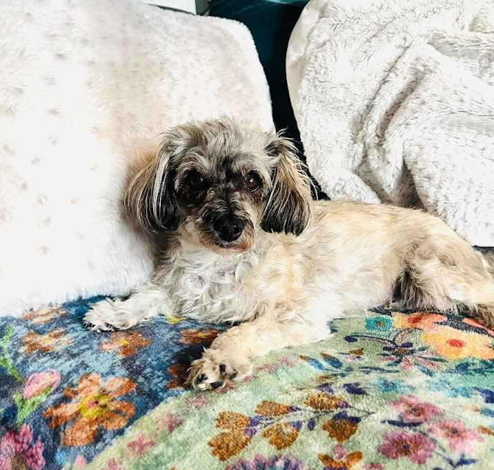 Photo of Holly