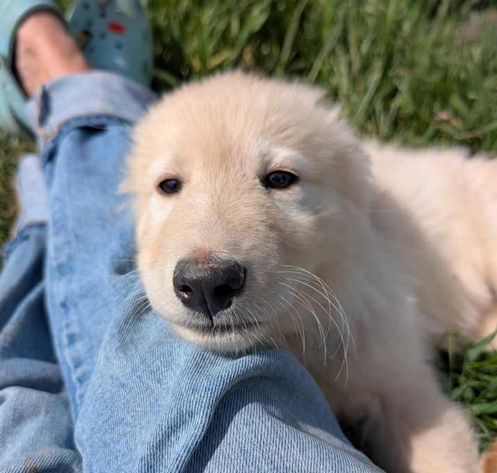 Photo of Todd