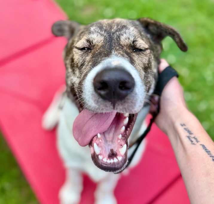 Photo of Camo the Cutie