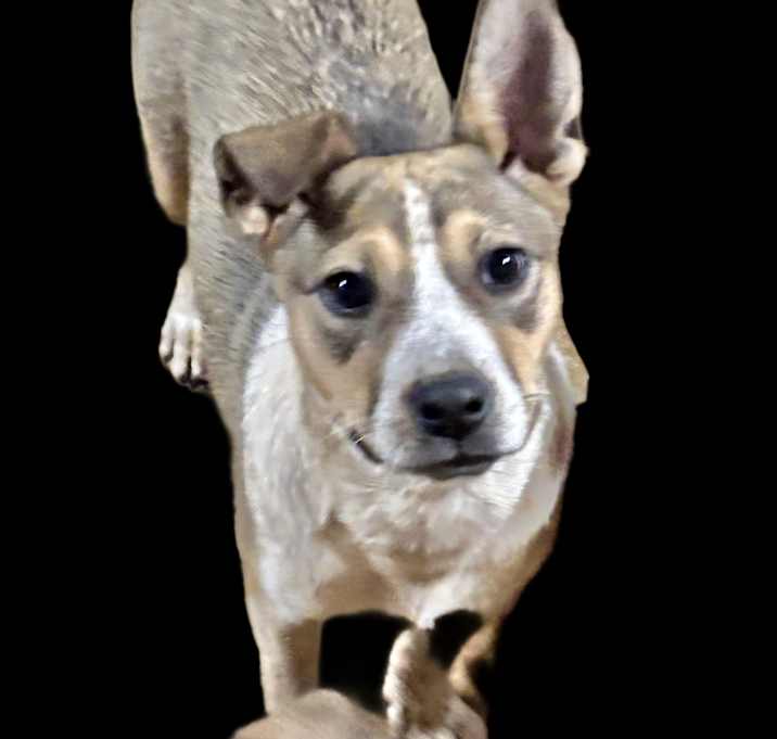 Photo of Buffy