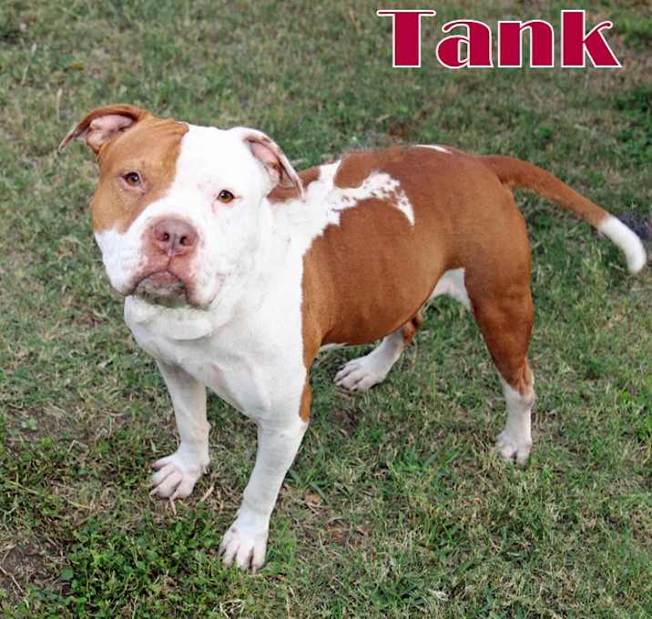 Photo of Tank