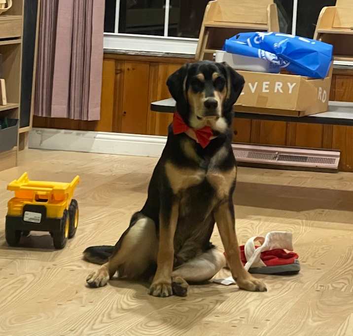 Photo of Oddie