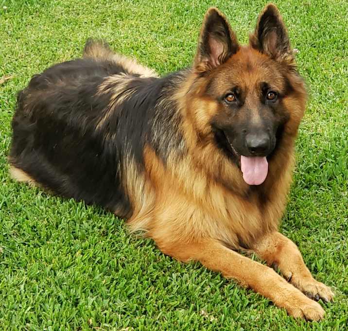 Photo of Bruce