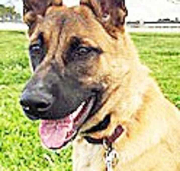 Photo of Chevy