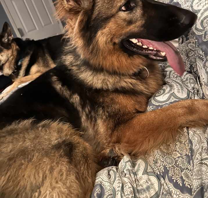 Photo of Zena