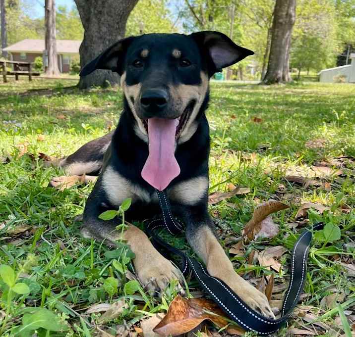 Photo of Rexie