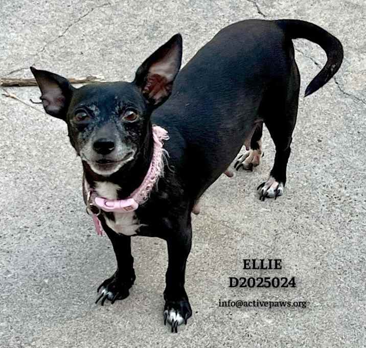 Photo of Ellie