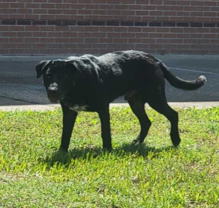 Photo of Deveraux