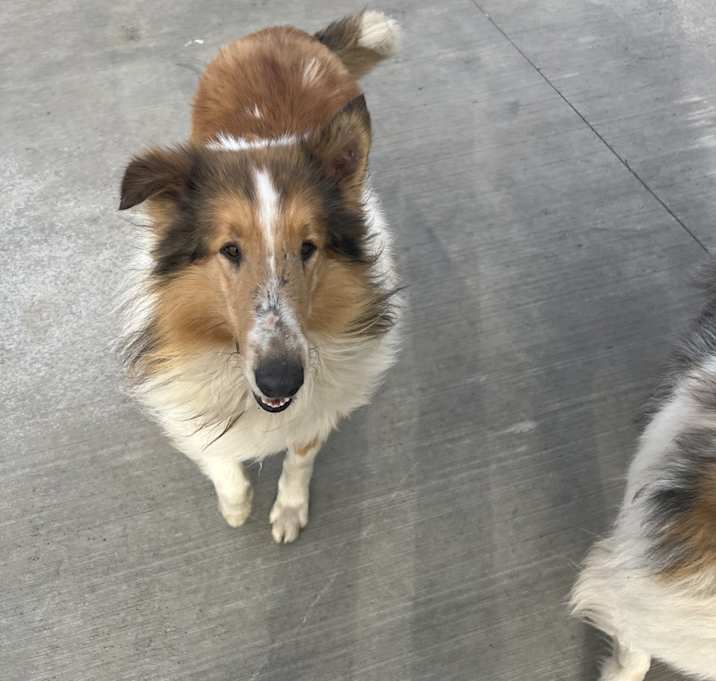 Photo of Echo
